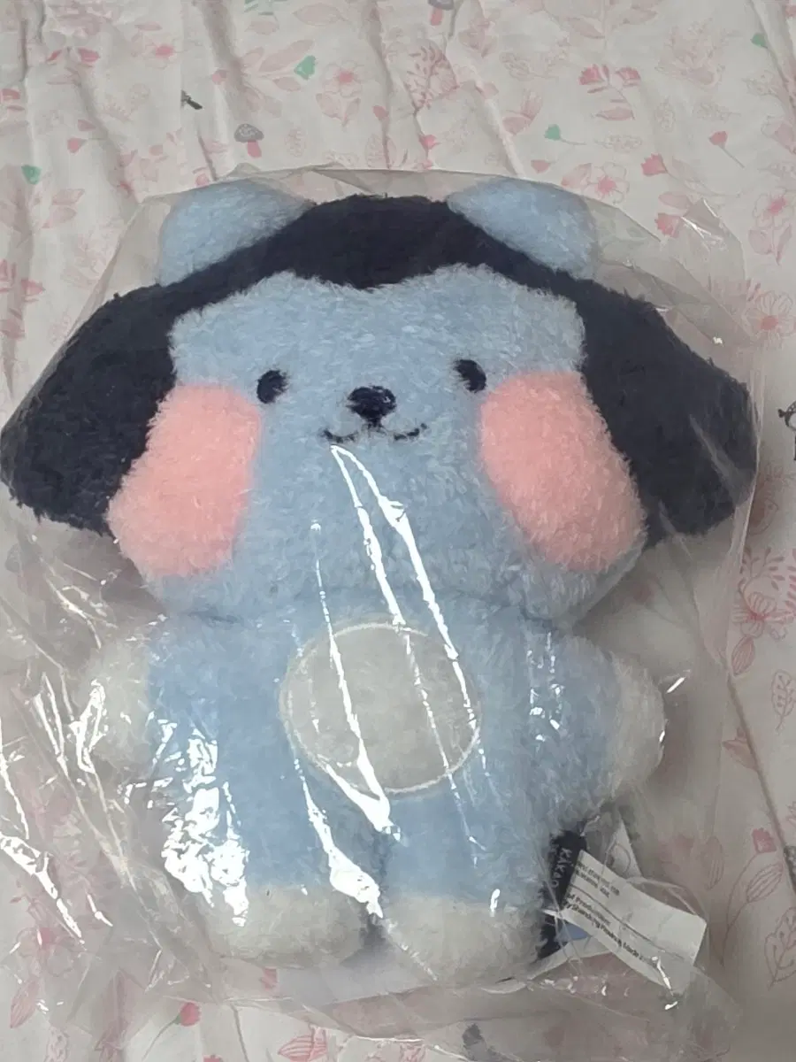 https://media.bunjang.co.kr/product/424615617_1_1786979307_w{res}.jpg